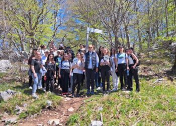 📌Një ditë plot energji dhe kreativitet sot në malin e Dajtit, me mbi 500 studentë  nga FSHMT. 🥾⛰️👩‍🎓